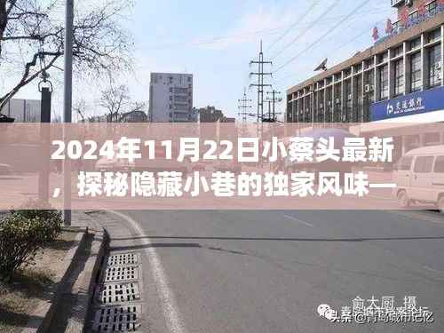 小蔡头探秘隐藏小巷美食,独家风味小店之旅