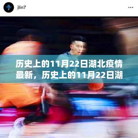 历史上的11月22日湖北疫情全面介绍与最新动态分析