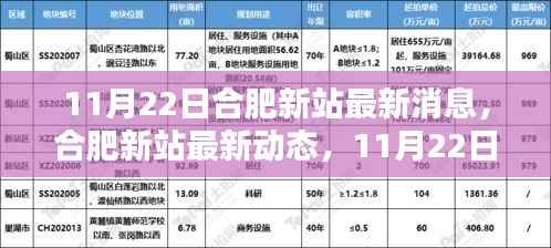 合肥新站11月22日最新动态,揭示深远影响与重要地位