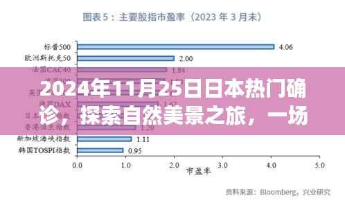 探索日本自然美景之旅,远离尘嚣的心灵确诊之旅(2024年11月25日)