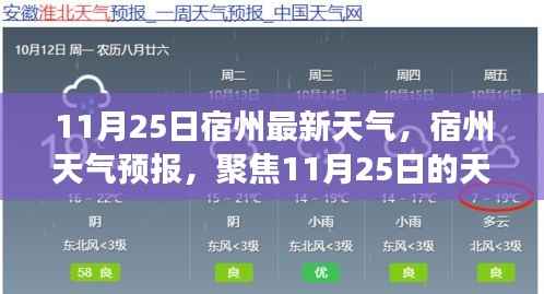 宿州天气预报,聚焦11月25日天气变化