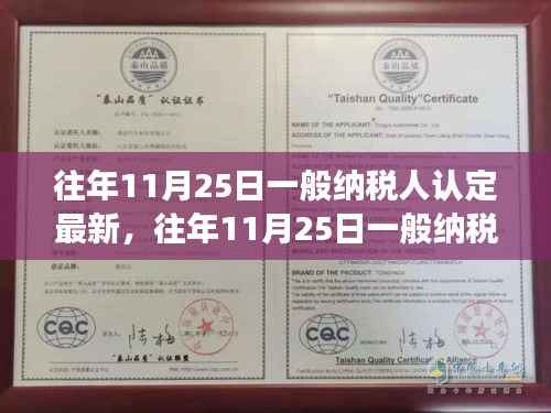 往年11月25日一般纳税人认定最新解读,特性、体验、竞争分析与目标用户群体全面剖析