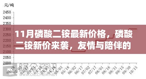 友情与陪伴中的磷酸二铵新价来袭,温暖故事与最新价格资讯
