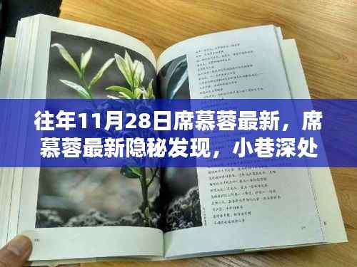 席慕蓉最新隐秘发现,小巷深处的特色小店,往年11月28日最新报道