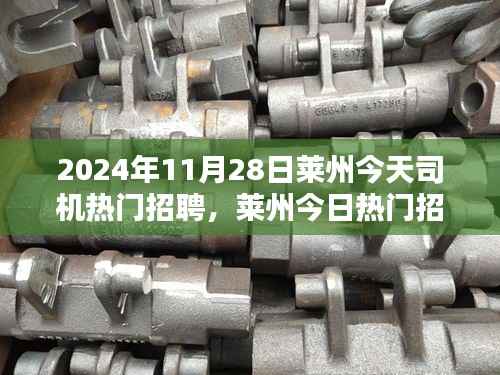 莱州今日热门招聘,司机岗位繁荣及其影响