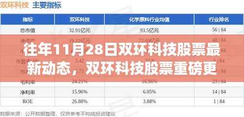 双环科技股票动态揭秘,往年11月28日最新更新与未来趋势展望