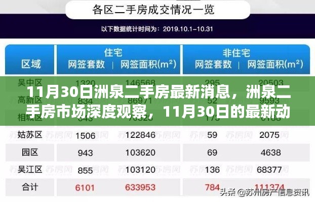 11月30日洲泉二手房市场最新动态与深度观察