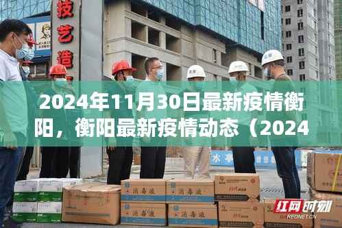 2024年11月30日衡阳最新疫情动态报告