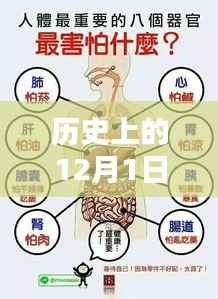 倦鸟思归 第4页