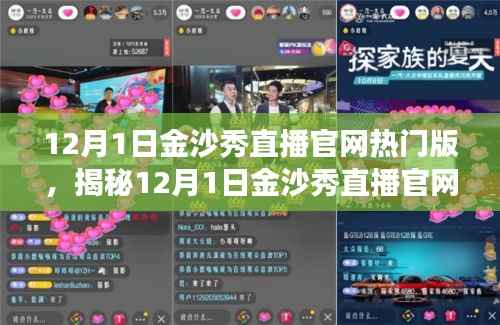 揭秘,12月1日金沙秀直播官网热门版活动亮点与特色解读