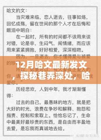 哈文探秘巷弄深处，十二月隐藏特色小店的魅力
