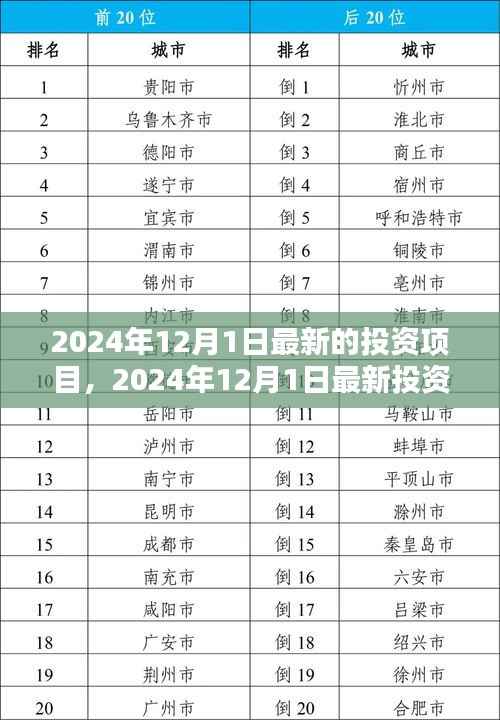 引领未来投资趋势,揭秘2024年最新投资项目机遇