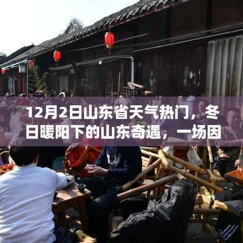 山东冬日暖阳下的奇遇,天气热门引发的欢乐聚会