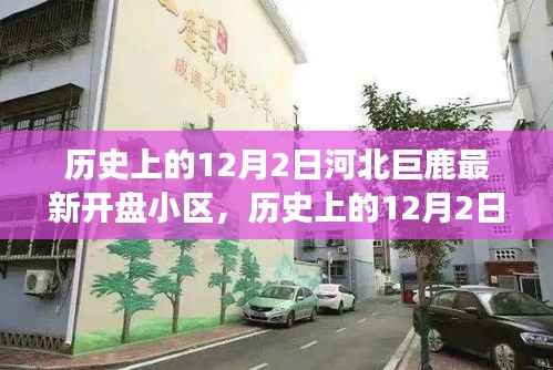 河北巨鹿最新开盘小区探寻,城市发展的历史印记在12月2日揭晓