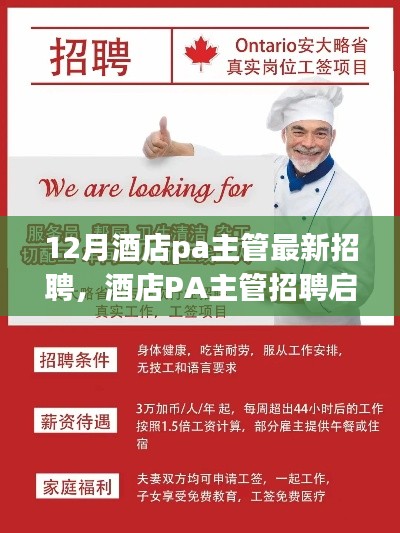 鸟入樊笼 第3页