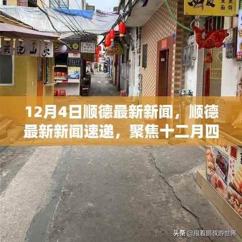 顺德十二月四日最新新闻聚焦发展动态速递