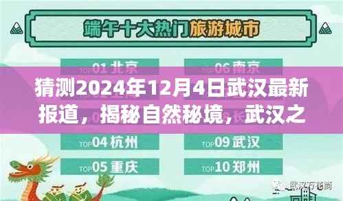 揭秘武汉自然秘境,探寻心灵宁静之旅启程于未来日期揭晓日,武汉最新报道 2024年12月4日