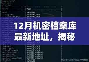 揭秘最新十二月机密档案库,犯罪行为探讨与观点阐述