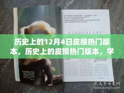 历史上的皮猴热门版本,学习变化的力量与自信的诞生历程