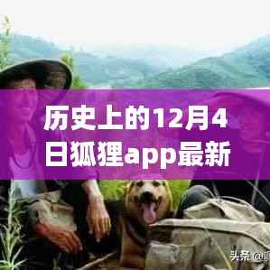 狐狸APP,历史12月4日最新版下载,探寻自然美景的心灵之旅