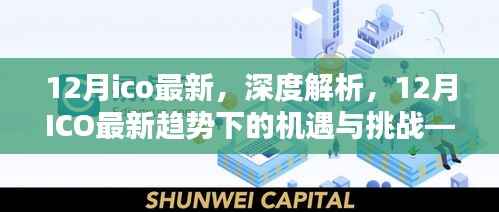 某某视角下的深度解析,12月ICO最新趋势的机遇与挑战