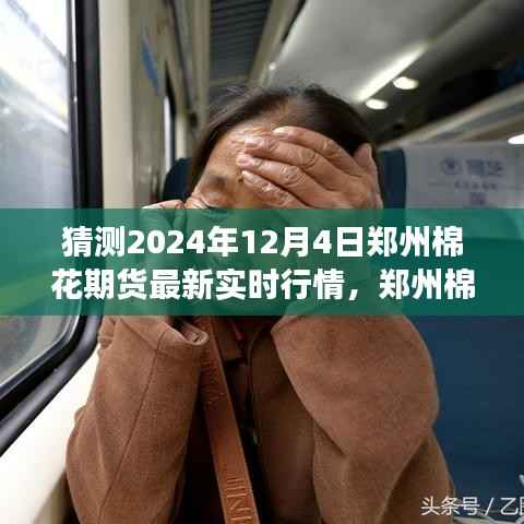 2024年郑州棉花期货市场预测,探寻未来行情脉搏的最新实时行情分析