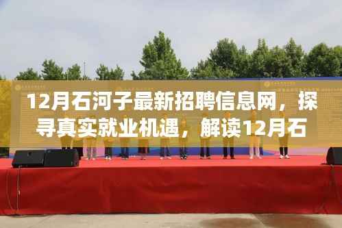 探寻真实就业机遇,解读石河子最新招聘信息网下的多元观点