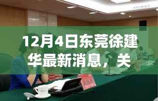 东莞徐建华最新动态解读,三大要点深度剖析最新消息