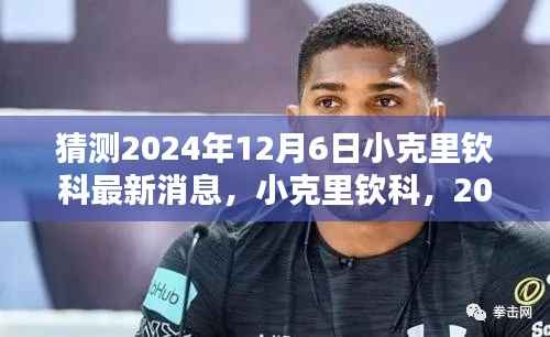 揭秘小克里钦科,2024年12月6日的最新动态与影响力回顾