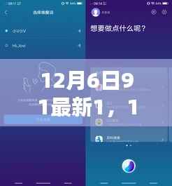 12月6日91最新产品全面评测与介绍