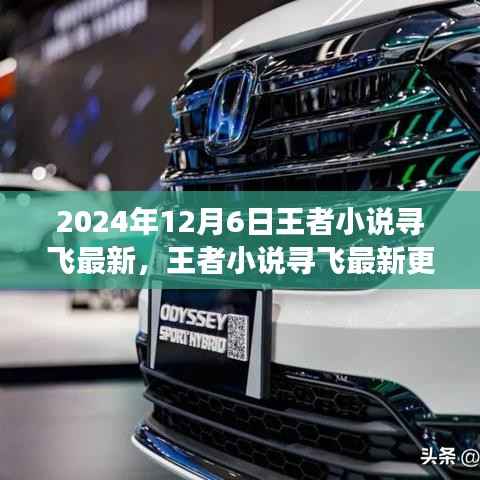 王者小说寻飞最新更新,观点碰撞与个人立场