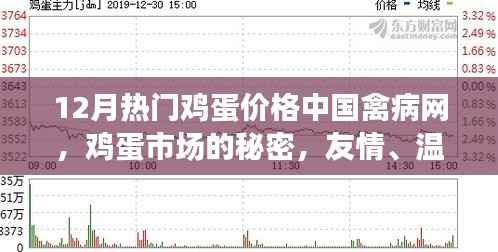 十二月鸡蛋市场风云,中国禽病网揭示鸡蛋价格背后的秘密与温情