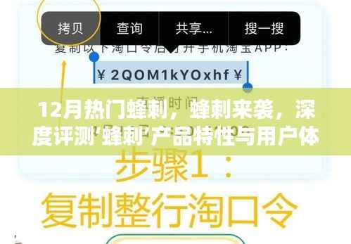 蜂刺产品深度评测,特性解析与用户体验全面剖析,十二月热门蜂刺来袭!