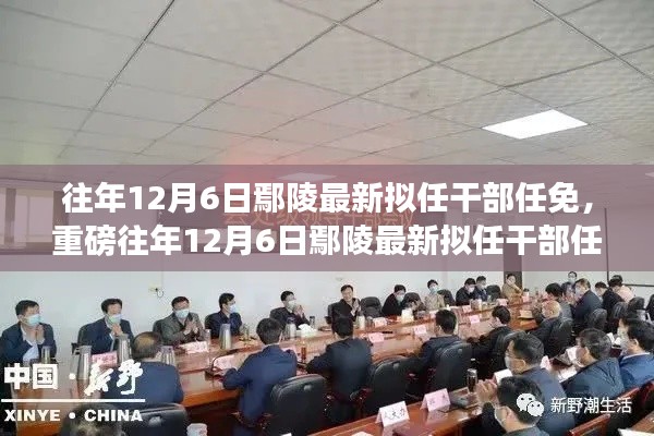 重磅揭晓,往年12月6日鄢陵最新拟任干部任免名单,新一轮领导团队蓄势待发!