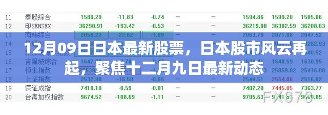 日本股市风云再起,聚焦最新动态与十二月九日股票行情