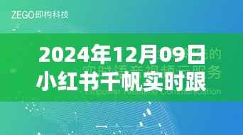 小红书千帆实时跟播体验评测报告，深度体验与报告分享（附日期）