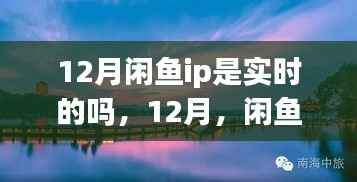 闲鱼IP在冬季引领我们走进自然美景,探寻内心平和宁静的奥秘