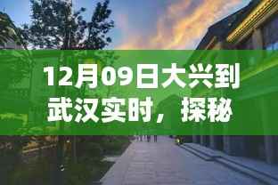 探秘大兴小巷,武汉特色小店的别样风情(12月09日实时报道)