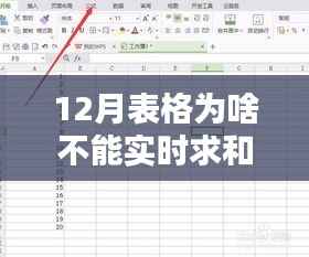 探究12月表格无法实时求和的背后原因、影响及重要性