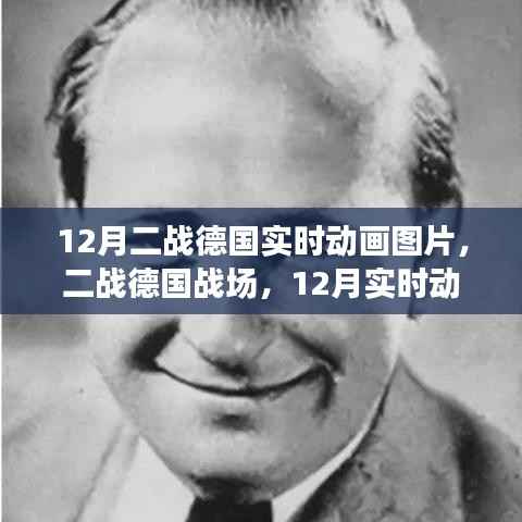 二战德国战场回顾,实时动画图片解析与影响探讨(附动画图片)