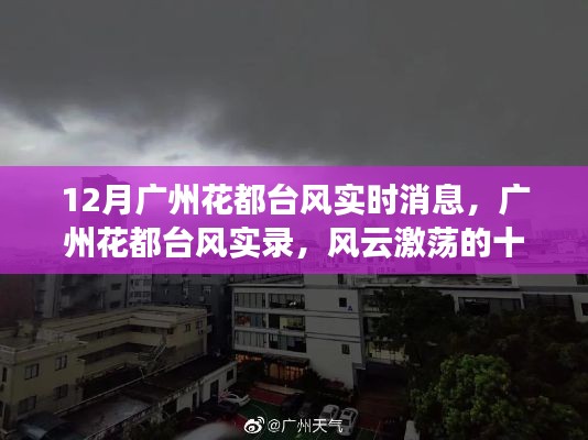 广州花都台风风云录,实时消息与实录揭秘十二月风暴来袭