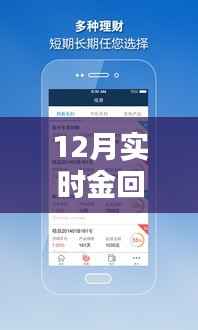 12月黄金回收软件新势力,智能选择,实时金回收软件推荐