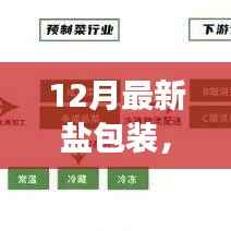 12月最新盐包装趋势引领行业变革,揭秘关键所在