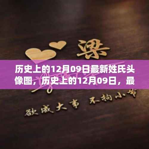 历史上的12月09日,最新姓氏头像图的深度解读与观点碰撞日探秘