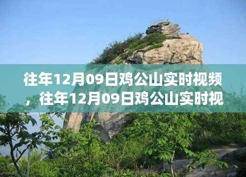 往年12月09日鸡公山实时视频观察,自然生态与个人观点深度解读