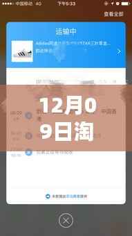 淘宝物流新发现,实时追踪小巷宝藏小店的物流魅力(12月09日实时查询)