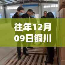 铜川市疫情深度分析,往年12月09日疫情实时动态报告与评估重点篇