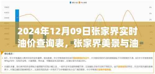 张家界油价查询表与美景探索，寻找内心平静的油价之旅