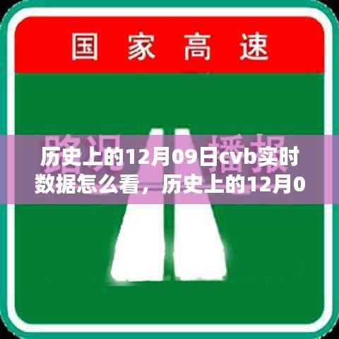 历史上的12月09日CVB实时数据解读指南,如何查看与解读实时数据?
