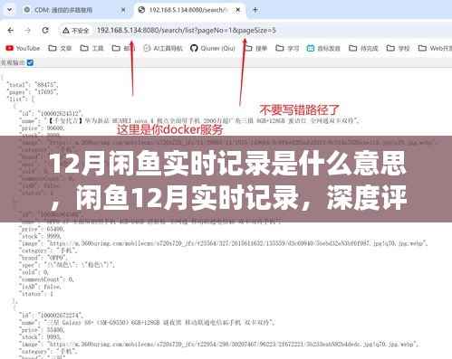 闲鱼12月实时记录深度解析与评测,了解背后的故事与细节